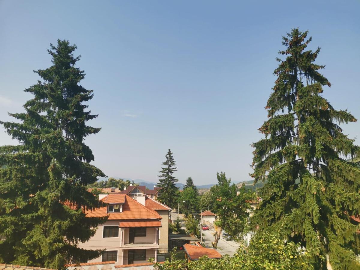 Guest House Ena Велинград Экстерьер фото